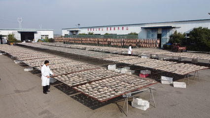 大冶 做足漁業(yè)文章，盤活水產(chǎn)經(jīng)濟(jì)，打造特色農(nóng)產(chǎn)品新名片