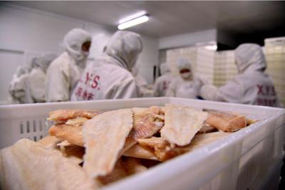 邊陲小城與水產(chǎn)新篇 吉林在東北亞的新興角色