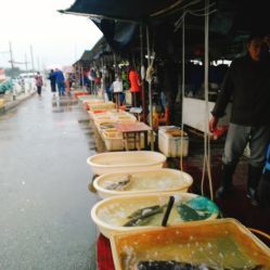 無錫小溪橋水產(chǎn)批發(fā)市場 地址、電話、營業(yè)時(shí)間與美食探尋指南