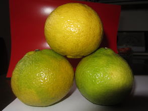 洪江市黔陽紅農(nóng)產(chǎn)品專業(yè)合作社 專業(yè)食用農(nóng)產(chǎn)品批發(fā)與供應服務